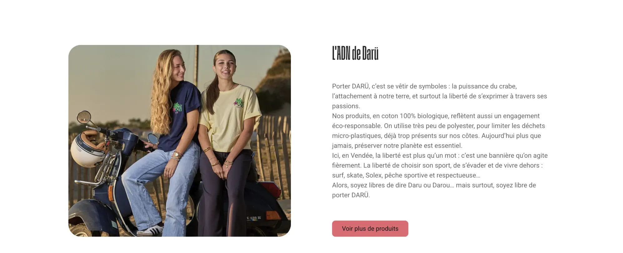 Intégration finale de la section ADN sur le site